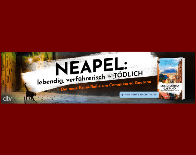 Bild mit dem Titel Neapel: lebendig, verführerisch - tödlich und Buchtitel Comissario Gaetano